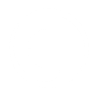 Erijane Logo